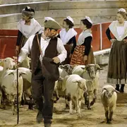 « Spectacle La Camargue des 4 saisons en collaboration avec l’Etoile de l’avenir »
