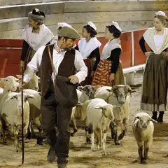 « Spectacle La Camargue des 4 saisons en collaboration avec l’Etoile de l’avenir »