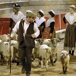 « Spectacle La Camargue des 4 saisons en collaboration avec l’Etoile de l’avenir »