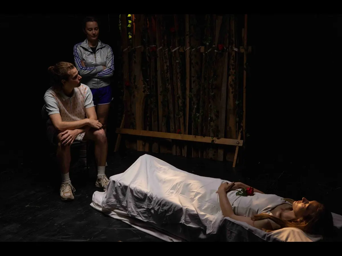 Spectacle La fée du bois dormant