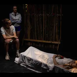 Spectacle La fée du bois dormant
