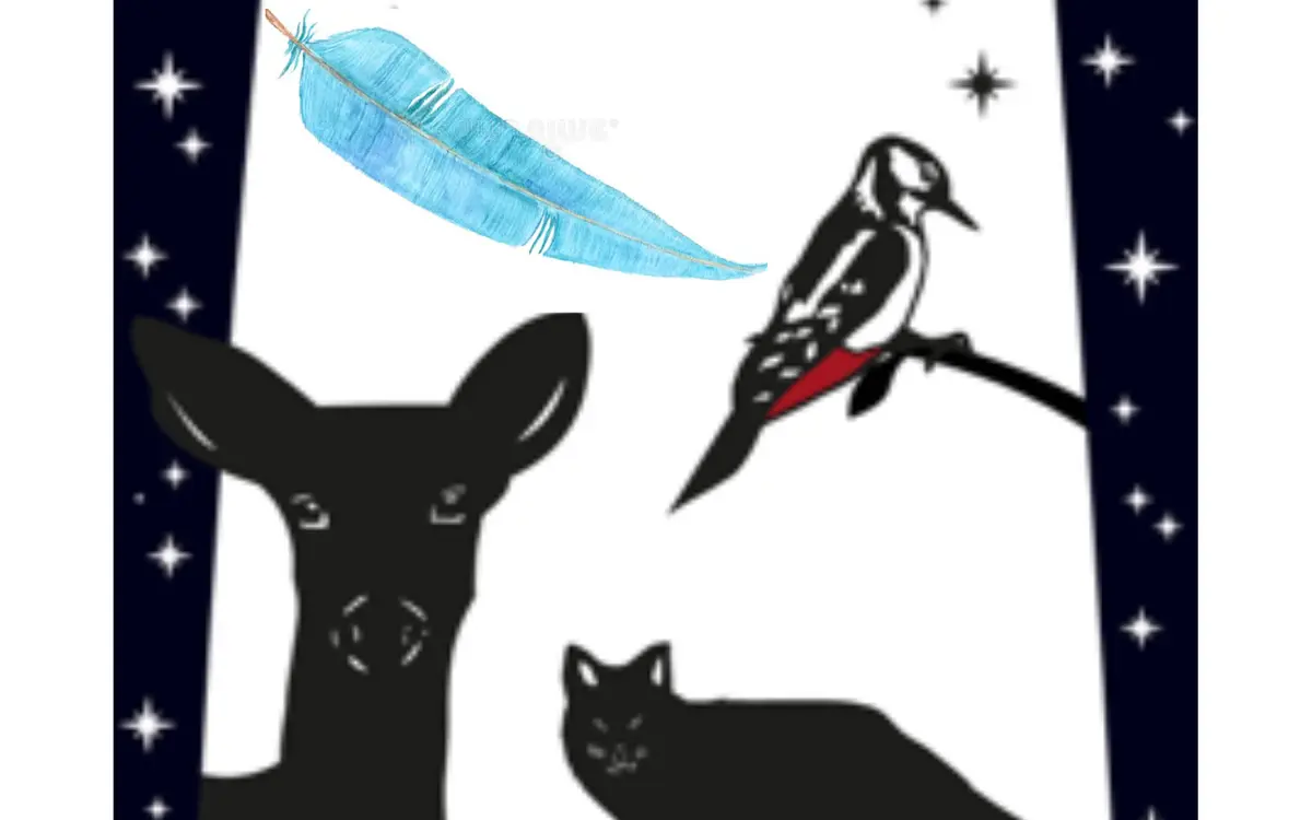 Spectacle La Plume Bleue