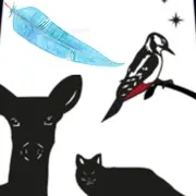 Spectacle La Plume Bleue