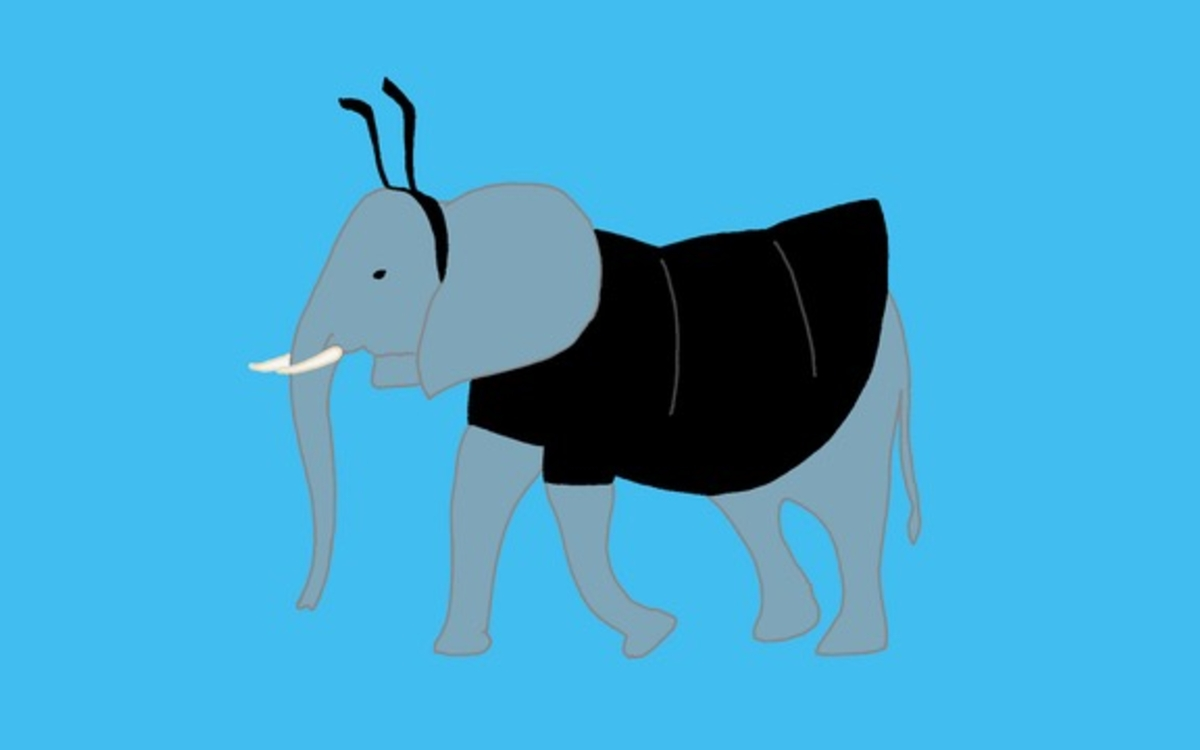 Spectacle « Le carnaval des animaux » Festival Rêves d’enfants