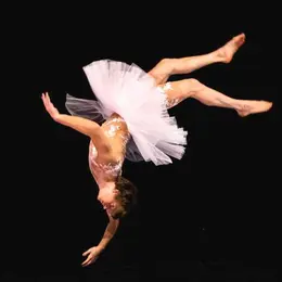 Spectacle - Le Lac des Cygnes