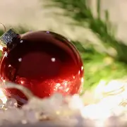 Spectacle : Le Noêl de Forêt Merveilles