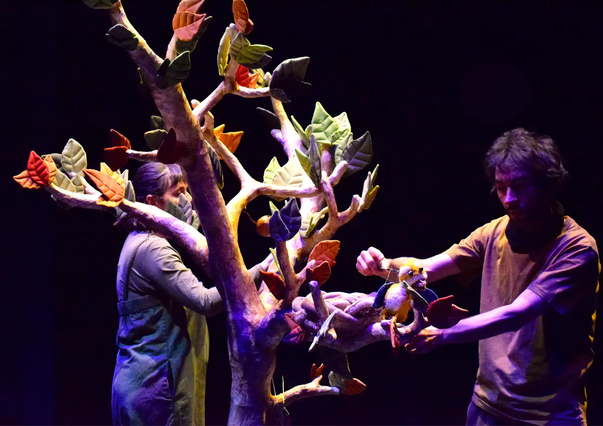 Spectacle Le Premier Envol