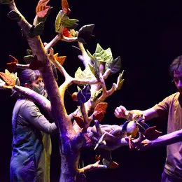 Spectacle Le Premier Envol