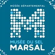 Spectacle - Le sel de la vie