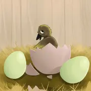 Spectacle : Le vilain petit canard