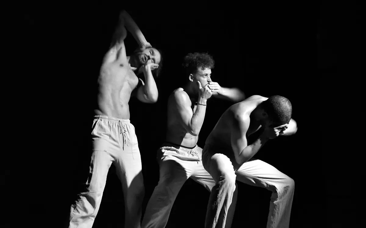 Spectacle Les 3 singes