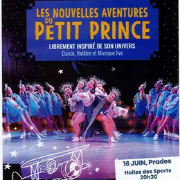 Spectacle : Les Nouvelles Aventures Du Petit Prince
