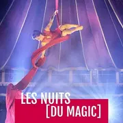 Spectacle - Les nuits (du Magic)