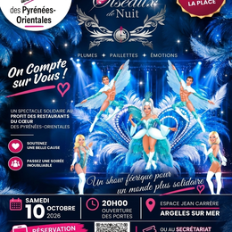 Spectacle Les Oiseaux De Nuit