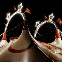 Spectacle « Magie, au-delà du réel »
