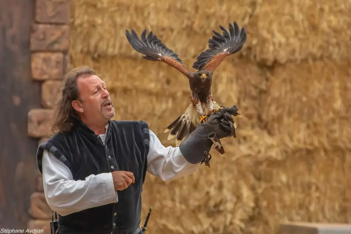 Spectacle Médiéval