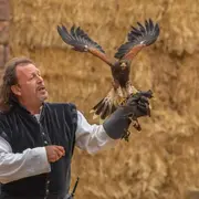 Spectacle Médiéval