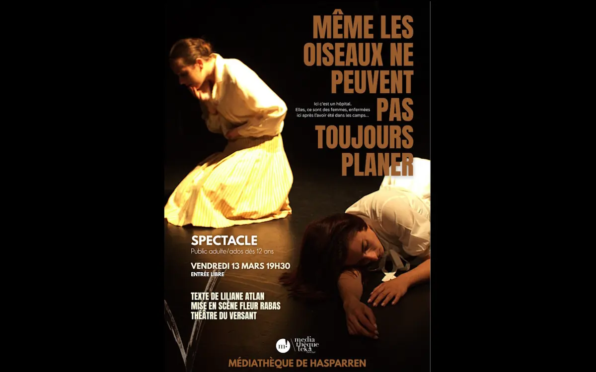 Spectacle : Même les oiseaux ne peuvent pas toujours planer