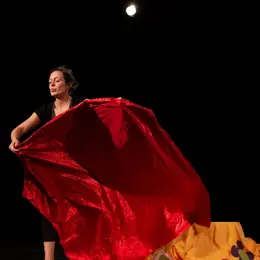 Spectacle : Moi je ne suis pas un éléphant
