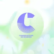 Spectacle Mosaïques