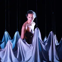 Spectacle : Mue
