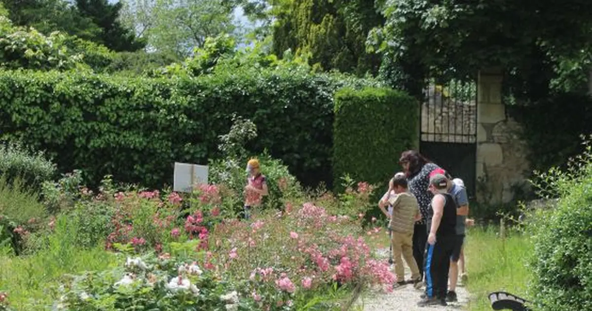 Spectacle musical et nature "Au coin de la Ruche"