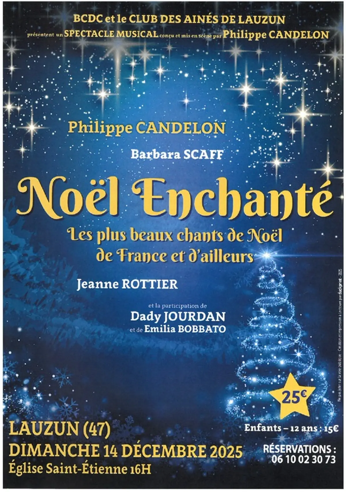 Spectacle musical - Noël enchanté