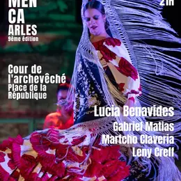 Spectacle Noches de Andalucia