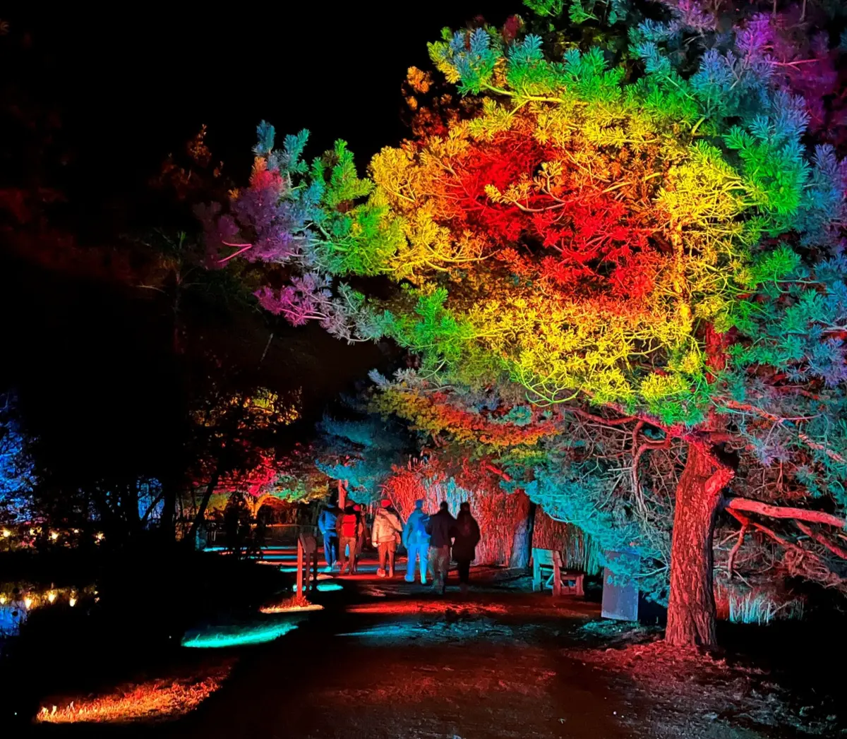 Spectacle nocturne immersif au Parc des Oiseaux de Villars-les-Dombes