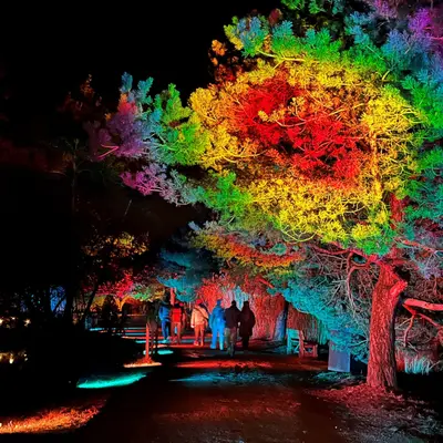 Lyon : nos 10 idées sorties du week-end