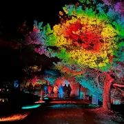 Que fait-on à Lyon ce week-end du 27 février au 1 mars 2026 ? 10 idées 100 % plaisir