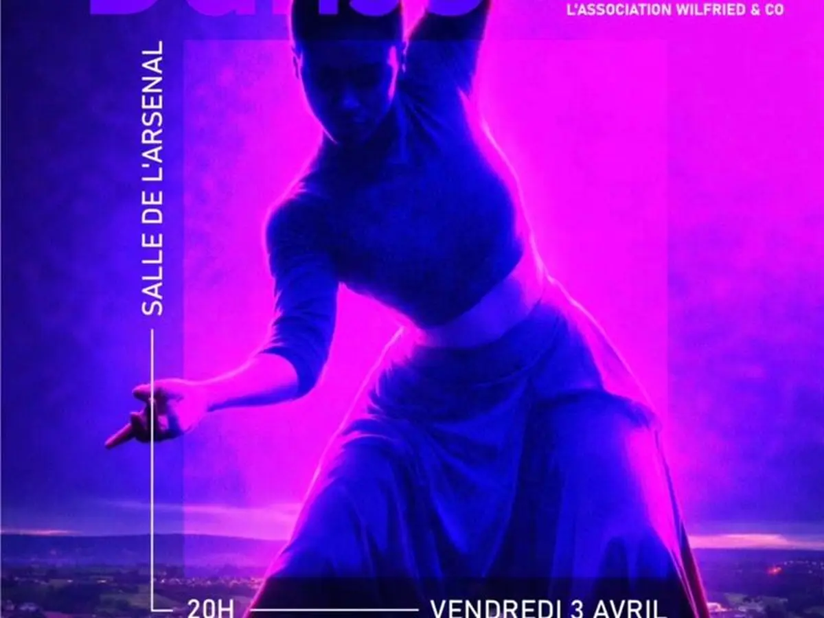 Spectacle - Nuit de la Danse