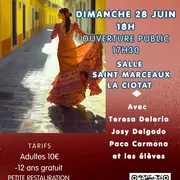Spectacle Paseo Flamenco
