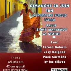 Spectacle Paseo Flamenco
