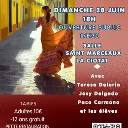 Spectacle Paseo Flamenco