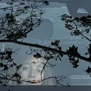 Spectacle - Quand la ville se lève