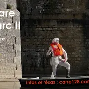 Spectacle : Shakespeare dans le Parc II