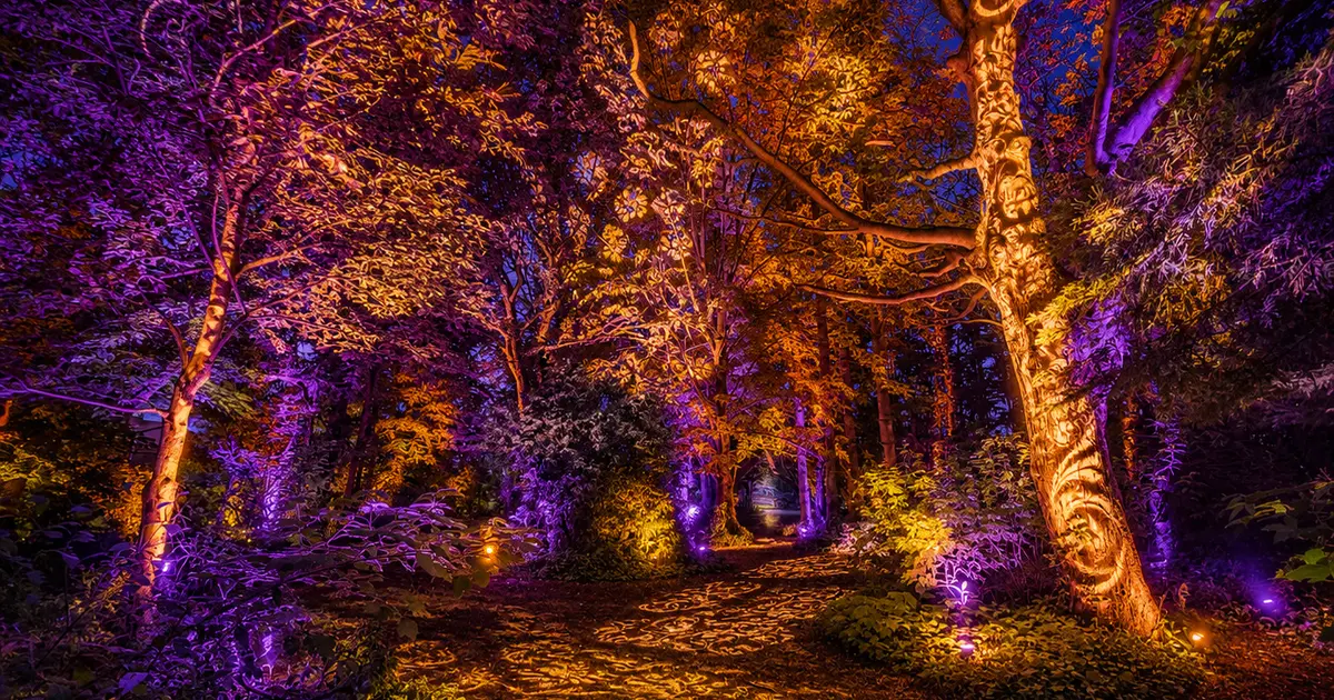Spectacle son et lumière avec concert à Goeulzin
