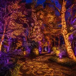 Spectacle son et lumière avec concert à Goeulzin