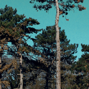 Spectacle : Sous le silence