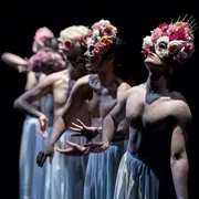 Spectacle - Sous les fleurs