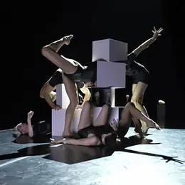Spectacle - Still Life - Ballet Preljocaj Junior
