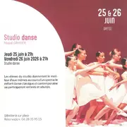 Spectacle : Studio Danse