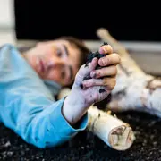 Alerte Blaireau dégâts / La Filature Nomade