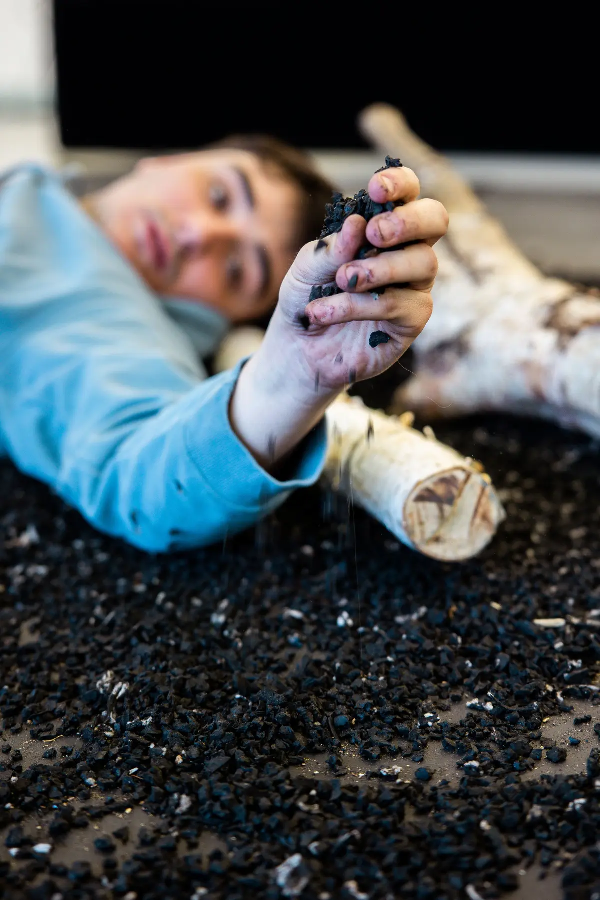 Alerte Blaireau dégâts / La Filature Nomade