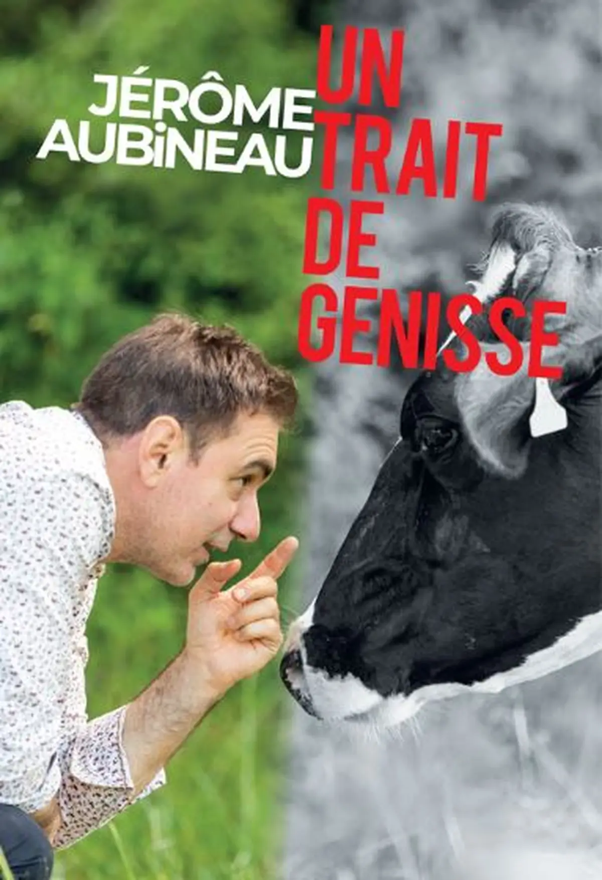 Spectacle Un Trait de Génisse - Festival de Bouche à Oreille
