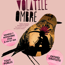 Spectacle Volatile ombré
