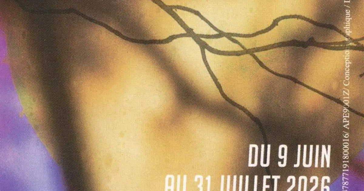 Spectacles au Théâtre de Verdure