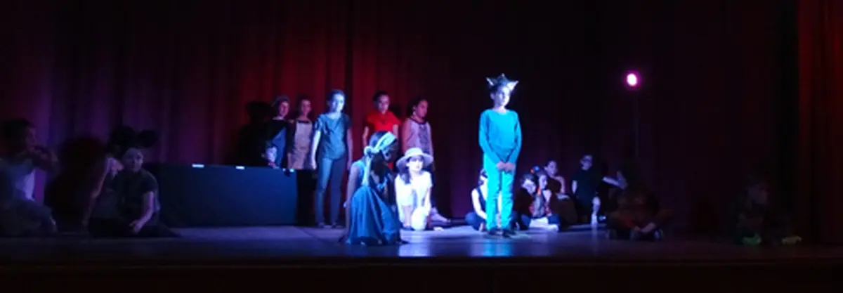 Spectacles Des Ateliers-Théâtre De La Petite Sauce Animés Par  La Metteuse En Scène Jasmine Dziadon