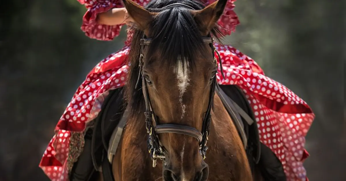 Spectacles des vendredis - Bestia/Les bourgeaons - Cheval songeur